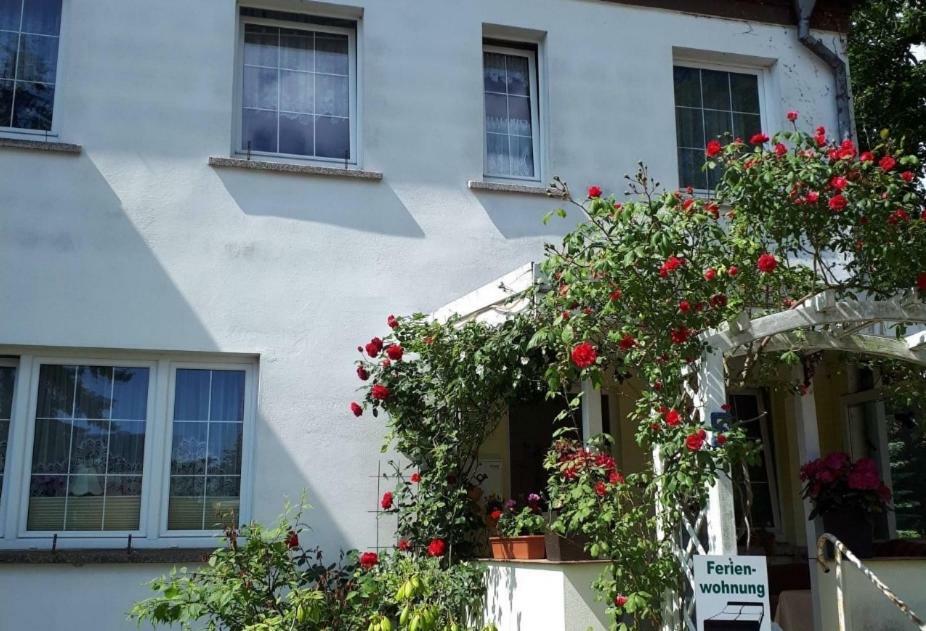 Ferienwohnungen Seebad Ahlbeck Heringsdorf  Exterior foto